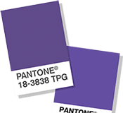 Violet - Pantone