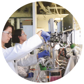 Cosmetic industry - Product