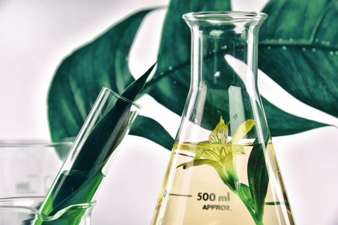 Cuidado de la piel - Aceite esencial
