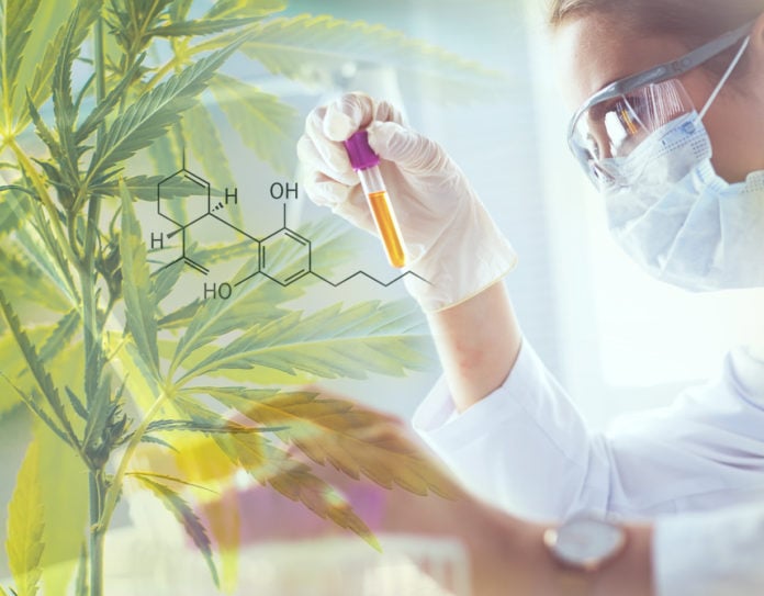 site-industries-cosmetiques Une femme dans un laboratoire explore le potentiel du CBD et des phytocannabinoïdes grâce à une collaboration avec Greentech et Phytograde.