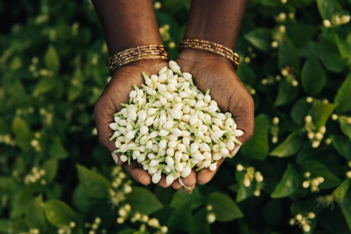 site-industries-cosmetiques Une femme tient un bouquet de fleurs blanches.