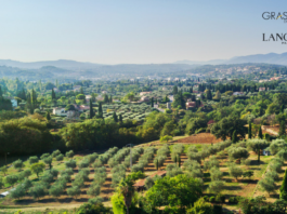 site-industries-cosmetiques An aerial view of an olive grove in Greece, highlighting Lancôme's expertise in the Grasse region.