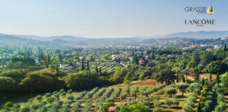 site-industries-cosmetiques An aerial view of an olive grove in Greece, highlighting Lancôme's expertise in the Grasse region.