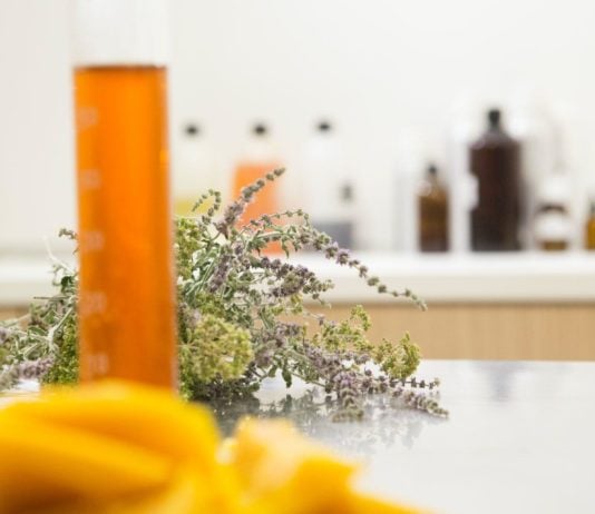 site-industries-cosmetiques Un comptoir présentant une étude de cosmétiques bio, comprenant un bécher rempli de liquide et d'herbes.