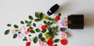 site-industries-cosmetiques Un pot rempli de fleurs et de feuilles sur une surface blanche, symbolisant l'engagement de Cosmed pour l'environnement avec son nouveau service expert global "Cosmed Environnement".