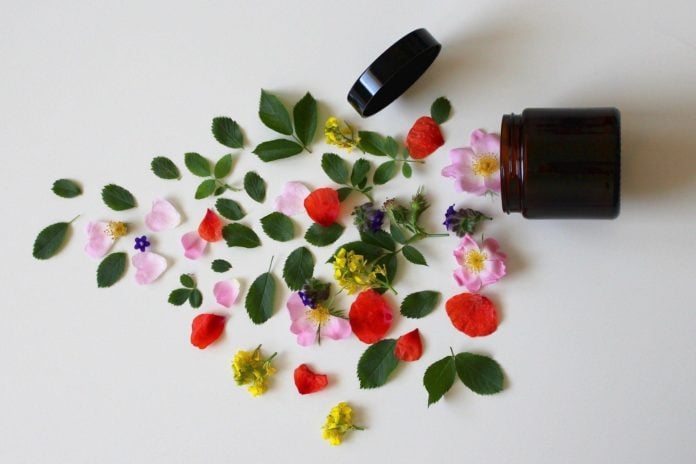 site-industries-cosmetiques Una maceta llena de flores y hojas sobre una superficie blanca, símbolo del compromiso de Cosmed con el medio ambiente con su nuevo servicio global de expertos. 