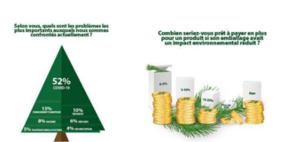 site-industries-cosmetiques Une photo d'un sapin de Noël et de quelques pièces de monnaie - Oui, nous sommes prêts à payer plus pour un emballage respectueux de l'environnement !