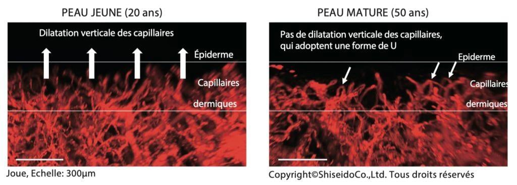 capture 22- Avis d'experts - Info produits