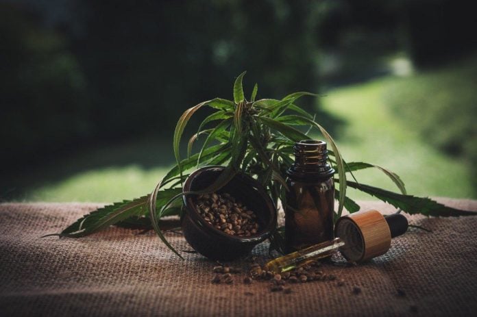 site-industries-cosmetiques Une table présentant une bouteille d'huile de cbd et une plante de cbd lors de la Journée technique cannabis et cannabinoïdes.