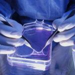 Expérimentations in vitro sur cellules cutanées et vieillissement de la peau : entretien avec Catherine Grillon, chercheuse au CNRS photo article IC- -