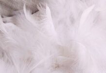 GIV ActiveBeauty 1024x396- -