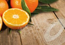 LK LIPOID liposome c eco Keyvisual cmyk- -