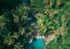 foret et eau- -