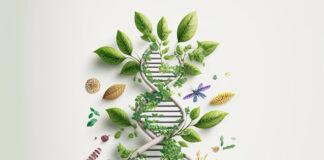 AdobeStock 560455429- -