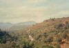 LOCCITANE Group Climate Strategy- -
