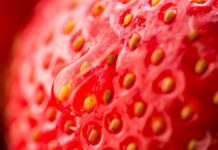 site-industries-cosmetiques A close-up of a red strawberry with water droplets.