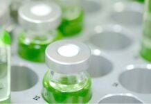 site-industries-cosmetiques A group of test tubes containing a green liquid.