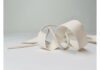 site-industries-cosmetiques A white ribbon on a durable surface.