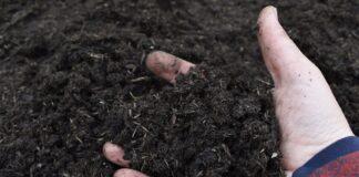 site-industries-cosmetiques The hand of a person holding a pile of dirt at a Cosmetic 360 conference focusing on clean technologies.