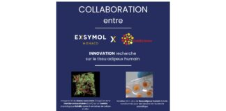 Exsymol - ExAdEx-Innov
