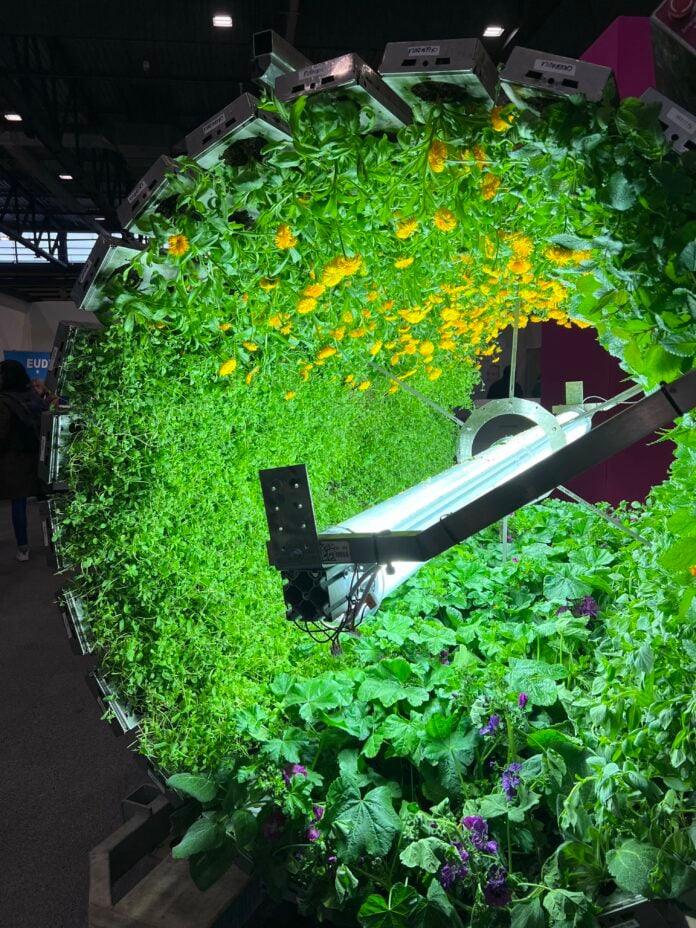 site-industries-cosmetiques A circular display of plants featuring the Futura Gaïa project captured in a captivating video experience.