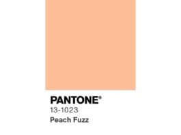 Pantone 13-1023 Peach Fuzz