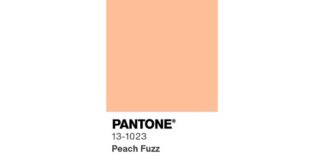 Pantone 13-1023 Pelusa de melocotón