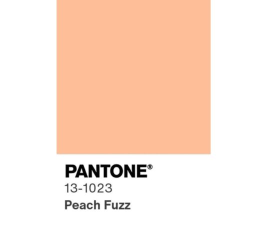 Pantone 13-1023 Peach Fuzz