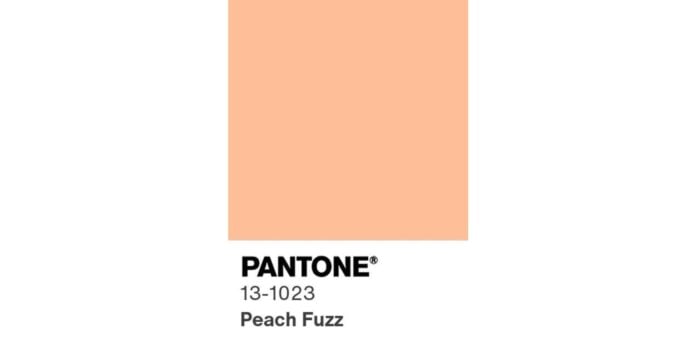 Pantone 13-1023 Pelusa de melocotón