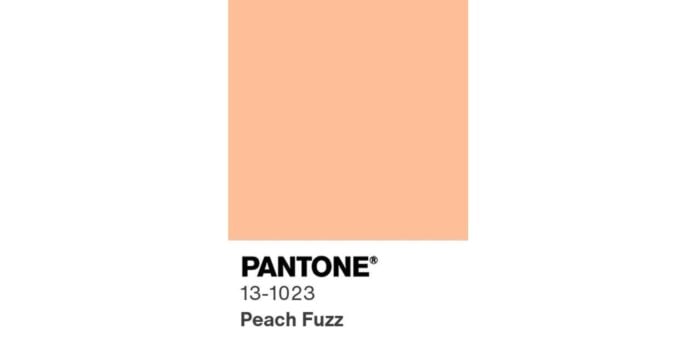 Pantone 13-1023 Peach Fuzz