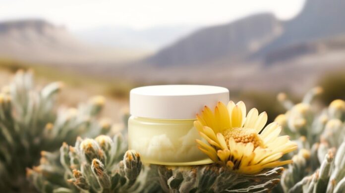 site-industries-cosmetiques Un pot de crème posé sur une fleur dans le désert, créant une synergie apaisante entre nature et soin.