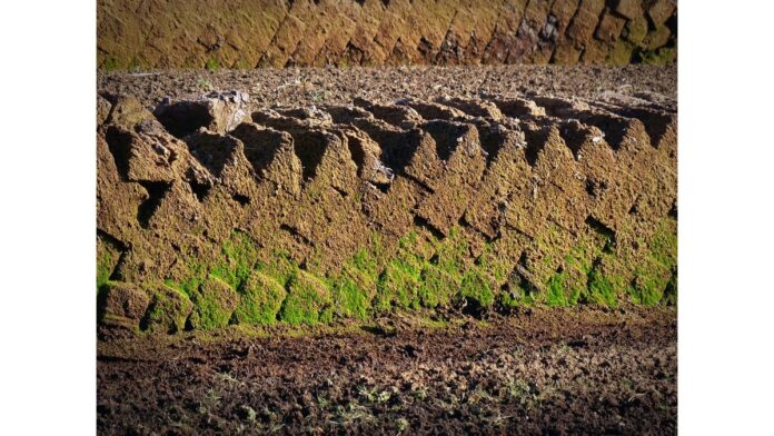 site-industries-cosmetiques Terres agricoles fraîchement labourées avec un sol riche et sombre et des sillons distincts, mis en valeur par les bienfaits de la tourbe et la lumière du soleil.