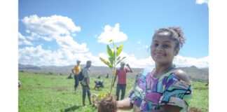 Reforestación Madagascar