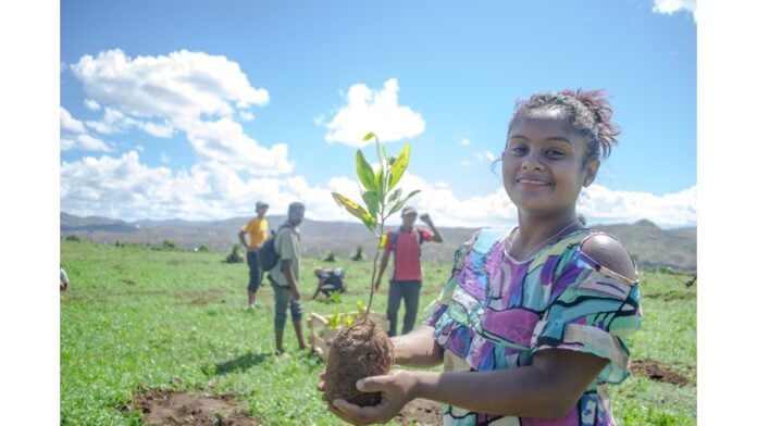 Reforestación Madagascar