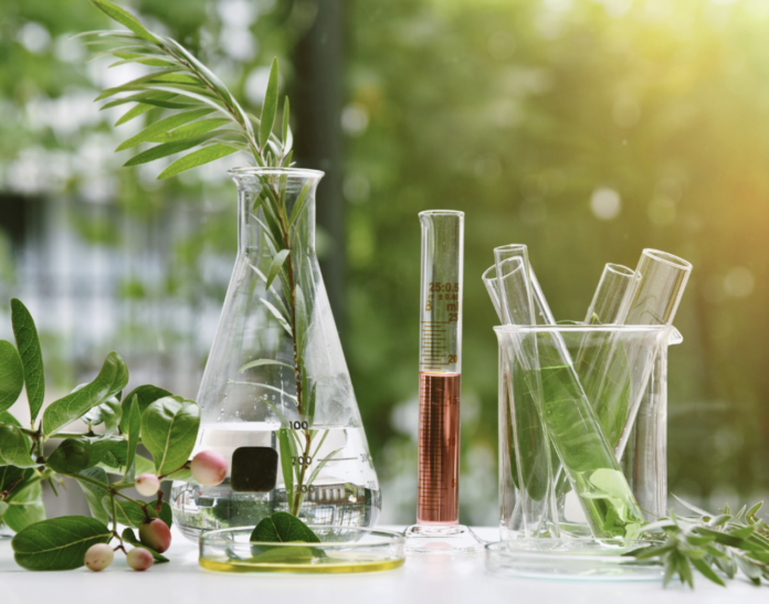 site-industries-cosmetiques A laboratory set up on a table with various glass objects: an Erlenmeyer containing water and plant stems, a large graduated cylinder containing an amber liquid, and a beaker with several test tubes containing green leaves. Additional plant leaves are scattered about, resembling the organized chaos of a drafting car.