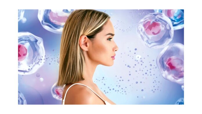 Mibelle Biochemistry - Exossomas PhytoCellTec