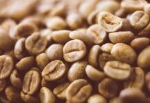 site-industries-cosmetiques Gros plan sur des grains de café vert non torréfiés empilés. Leur surface lisse et légèrement brillante, d'une couleur brun-vert clair, est appréciée pour ses propriétés antifatigue naturelles.