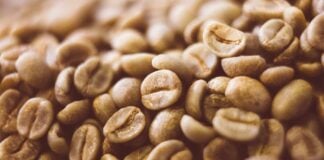 site-industries-cosmetiques Gros plan sur des grains de café vert non torréfiés empilés. Leur surface lisse et légèrement brillante, d'une couleur brun-vert clair, est appréciée pour ses propriétés antifatigue naturelles.