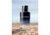 SAUVAGE 主目录_香水_克里斯汀-迪奥（PARFUMS CHRISTIAN DIOR