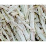 Bagasse de canne à sucre