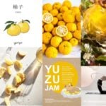 Yuzu - Scentmate by dsm-firmenich