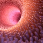 AdobeStock 222958425- -