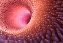 AdobeStock 222958425- -