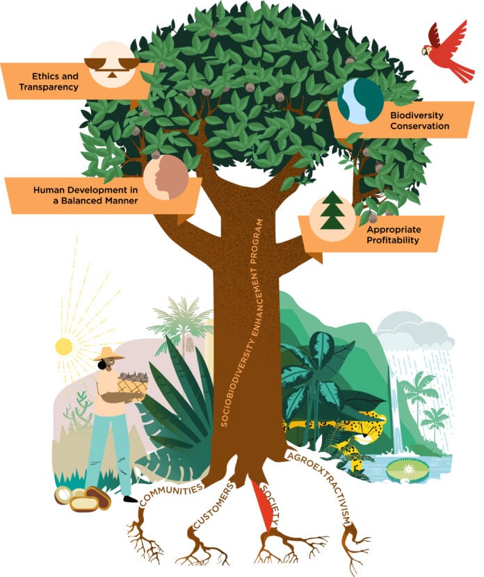 site-industries-cosmetiques Un arbre illustré intitulé 