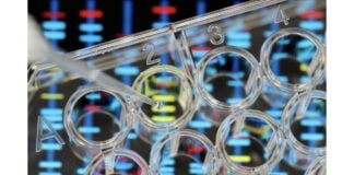 Biotecnología Debut