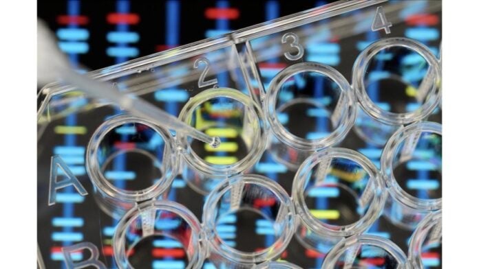 Debut Biotechnology