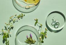 site-industries-cosmetiques Three glass Petri dishes on a light green surface showcase modern botanical products: a yellow liquid, a transparent liquid with bubbles, and purple flower buds. Green plant stems and buds are arranged around the boxes, reflecting Croda Beauty's emphasis on natural performance.