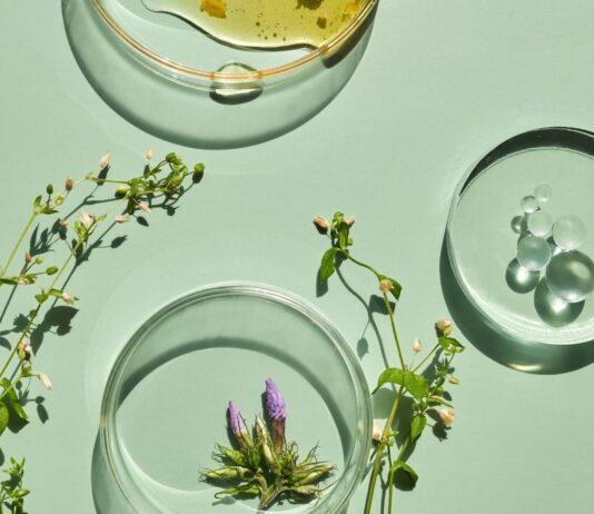 site-industries-cosmetiques 浅绿色表面上的三个玻璃培养皿展示了现代植物产品：黄色液体、带气泡的透明液体和紫色花蕾。绿色的植物茎和花蕾围绕着培养皿摆放，体现了 Croda Beauty 对天然性能的重视。.