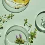 site-industries-cosmetiques 浅绿色的表面上放着三个玻璃培养皿：一个装着黄色的液体，另一个装着透明的液滴，最后一个装着紫色的花朵和绿色的小枝。花茎和 Auto Draft 标签完成了科学展示。