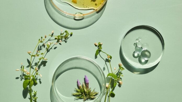 site-industries-cosmetiques Sobre una superficie verde pálido descansan tres placas Petri de cristal: una con un líquido amarillo, otra con gotas transparentes y la última con flores moradas y ramitas verdes. Los tallos floridos y una etiqueta Auto Draft completan la presentación científica.
